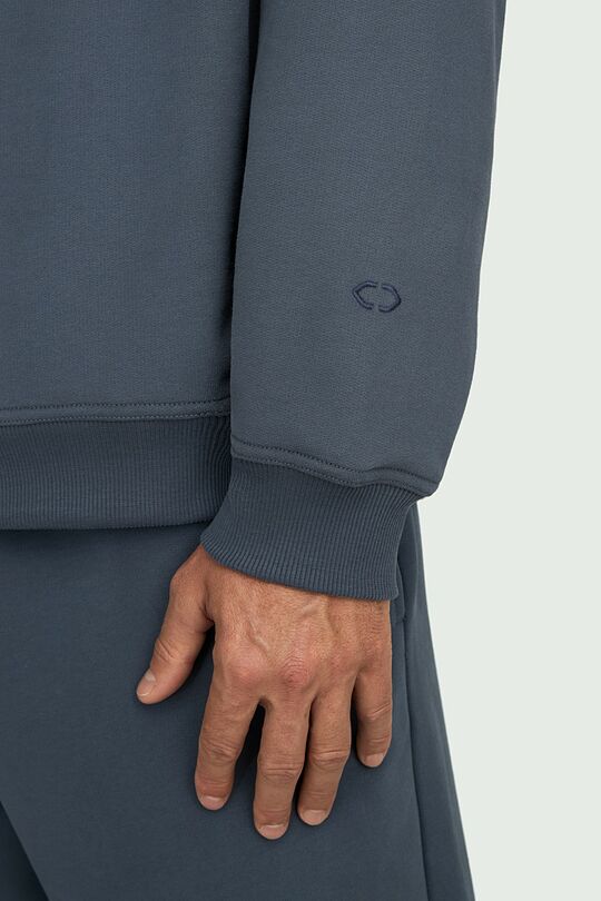 Oversized heavy-weight cotton sweatshirt 3 | GREY | Audimas