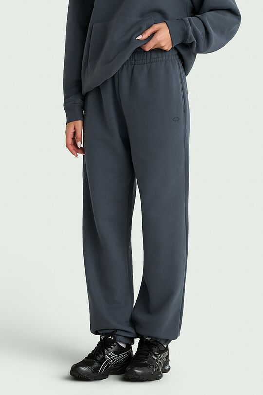 Heavy-weight cotton sweatpants 2 | Dark blue | Audimas