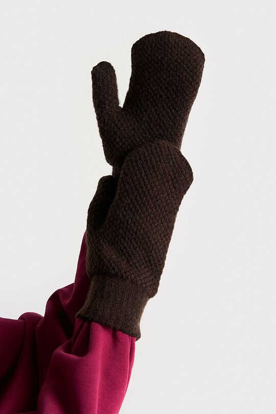 Mittens with fleece lining 1 | BROWN | Audimas