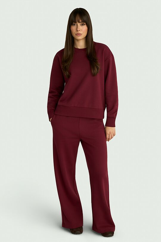 Cotton fleece sweatshirt 5 | RED | Audimas
