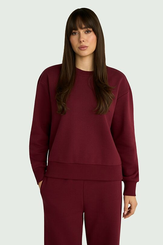 Cotton fleece sweatshirt 1 | RED | Audimas
