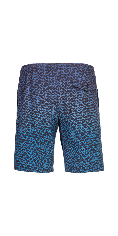 Beach shorts LAYTON 3 | GREY/MELANGE | Audimas
