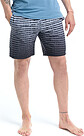 Beach shorts LAYTON 1 | BLUE | Audimas