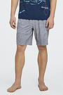 Long beach shorts 1 | GREY/MELANGE | Audimas