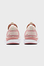 PUMA Women's  IGNITE Flash evoKNIT Sneaker 4 | PASTEL PARCHMENT/ROS | Audimas