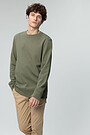 Cotton sweatshirt 1 | GREEN/ KHAKI / LIME GREEN | Audimas
