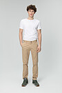 Tapered fit cotton chino pants 1 | BROWN/BORDEAUX | Audimas