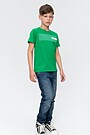 Cotton tee with print 1 | GREEN/ KHAKI / LIME GREEN | Audimas