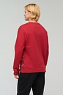 Brushed cotton sweatshirt 2 | RED/PINK | Audimas