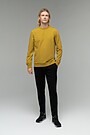 Stretch cotton sweatshirt 4 | BROWN/BORDEAUX | Audimas