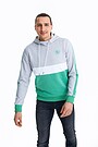 Organic cotton hoodie 1 | ŽALIA/PILKA | Audimas