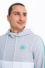 Organic cotton hoodie 3 | ŽALIA/PILKA | Audimas