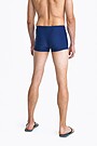 Swim trunks 3 | BLUE | Audimas