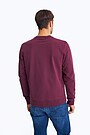 Printed cotton sweatshirt 3 | BORDO | Audimas