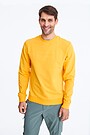 Printed cotton sweatshirt 1 | YELLOW/ORANGE | Audimas