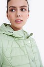 Short transitional jacket 4 | GREEN | Audimas