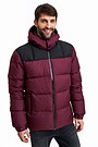 Short puffer down jacket 1 | BURGUND | Audimas