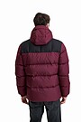 Short puffer down jacket 2 | BURGUND | Audimas