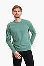 Sweatshirt 1 | GREEN | Audimas