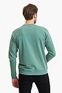 Sweatshirt 3 | GREEN | Audimas