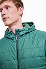 Essential short transitional jacket 3 | GREEN | Audimas