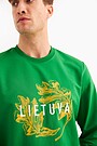 Printed terry crewneck sweatshirt 2 | GREEN | Audimas