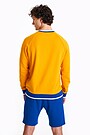 Retro style sweatshirt 3 | ORANŽINĖ | Audimas