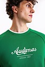 Retro style sweatshirt 3 | GREEN | Audimas