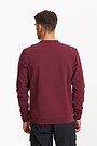 Organic cotton French terry crewneck sweatshirt 2 | BURGUND | Audimas