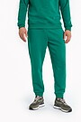 Organic cotton fleece sweatpants 2 | GREEN | Audimas