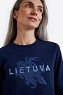 National collection embroidered  sweatshirt 4 | BLUE | Audimas
