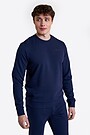 Cotton French terry crewneck sweatshirt 1 | BLUE | Audimas