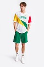 National collection sports shorts 1 | GREEN | Audimas