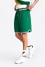 National collection sports shorts 3 | GREEN | Audimas