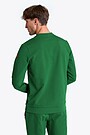 National collection embroidered  sweatshirt 2 | GREEN | Audimas
