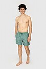 Swimming shorts 1 | GREEN | Audimas