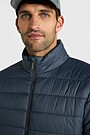 Light transitional jacket with Thermore insulation 3 | GREY | Audimas