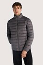 Lightweight synthetic insulation jacket 1 | GREY | Audimas