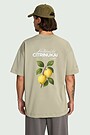Short sleeves cotton T-shirt "Quinces" 2 | GREEN | Audimas