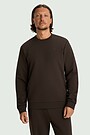 Cotton French terry crewneck sweatshirt 1 | BROWN | Audimas