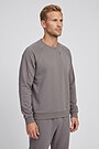 Crewneck sweatshirt 1 | GREY | Audimas