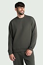 Cotton fleece crewneck sweatshirt 1 | CHAKI | Audimas