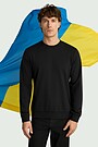 Men's cotton sweatshirt "Flag" 1 | BLACK | Audimas